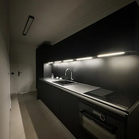 Design Elegant Apartment